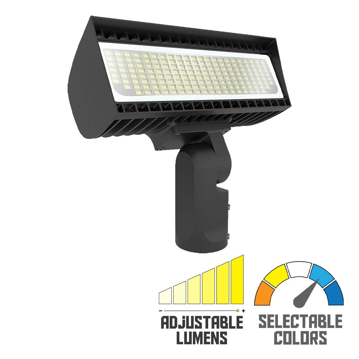 RAB FXLEDSSF LED Flood Light Bees Lighting