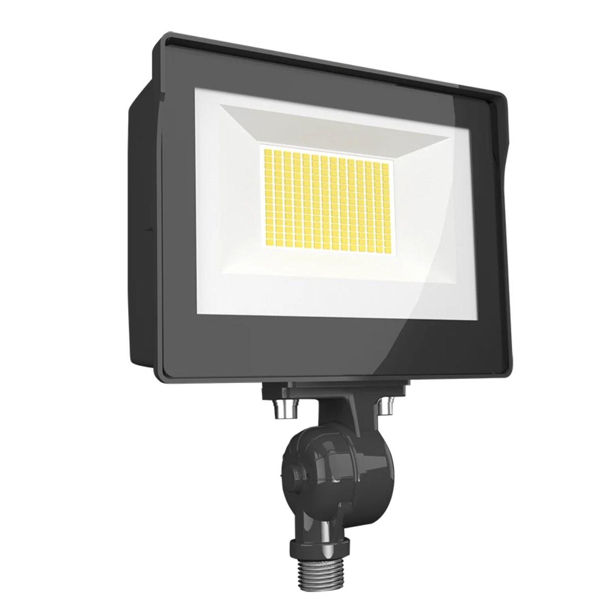 RAB X17FA35 LED Flood Light Bees Lighting