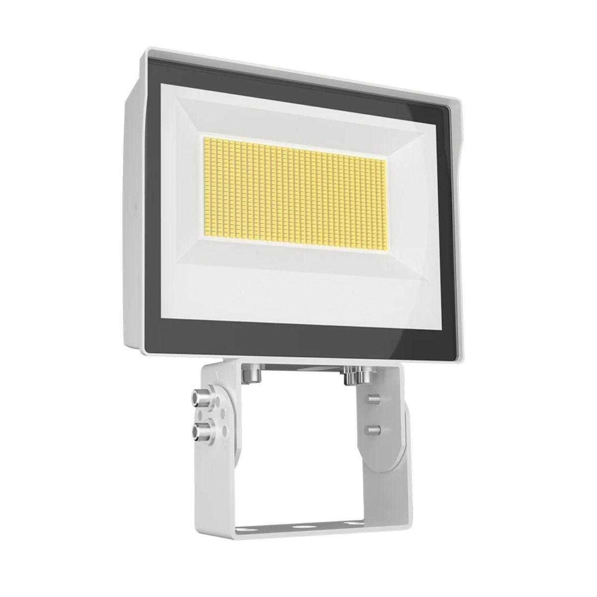 RAB X17FA60TW LED Flood Light Bees Lighting