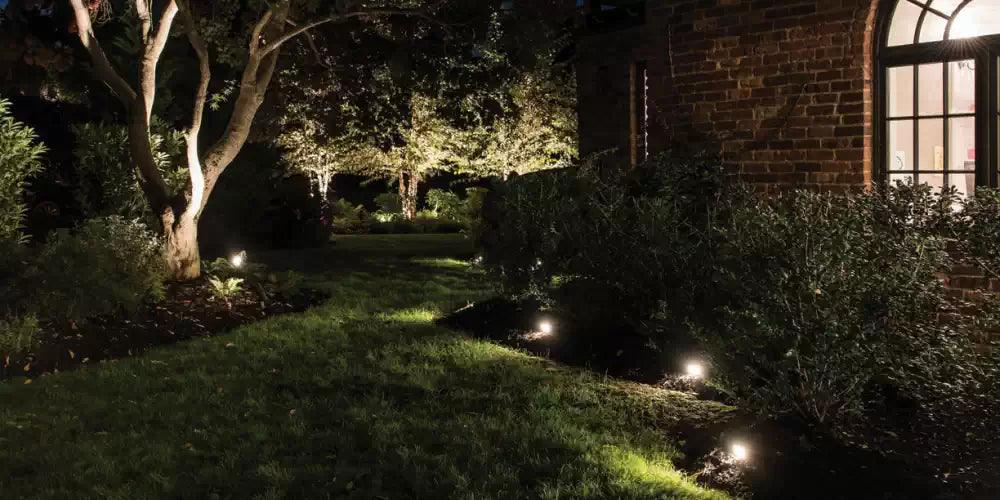 Landscape Lighting Guide - Bees Lighting