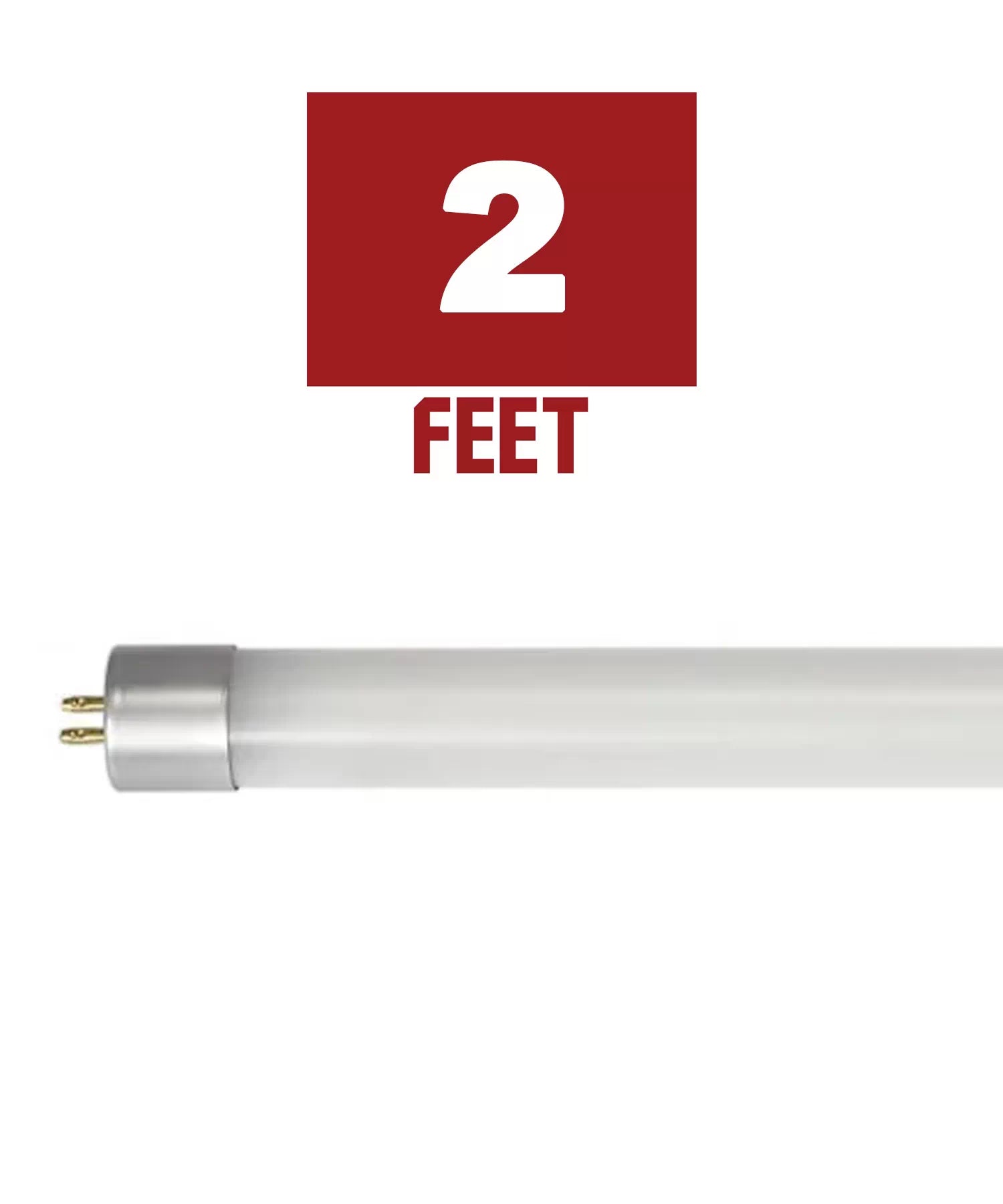 2ft T5 LED Bulbs