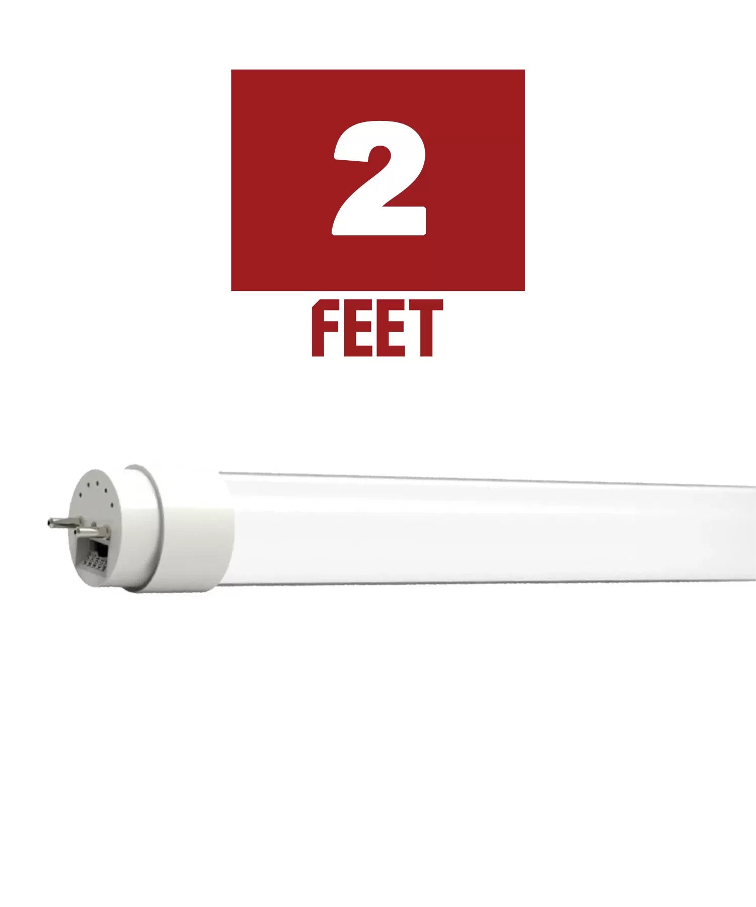 2ft T8 LED Bulbs - Bees Lighting