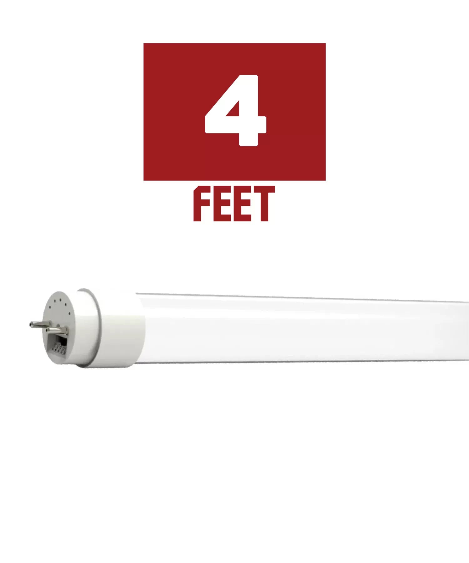 4ft T8 LED Bulbs - Bees Lighting