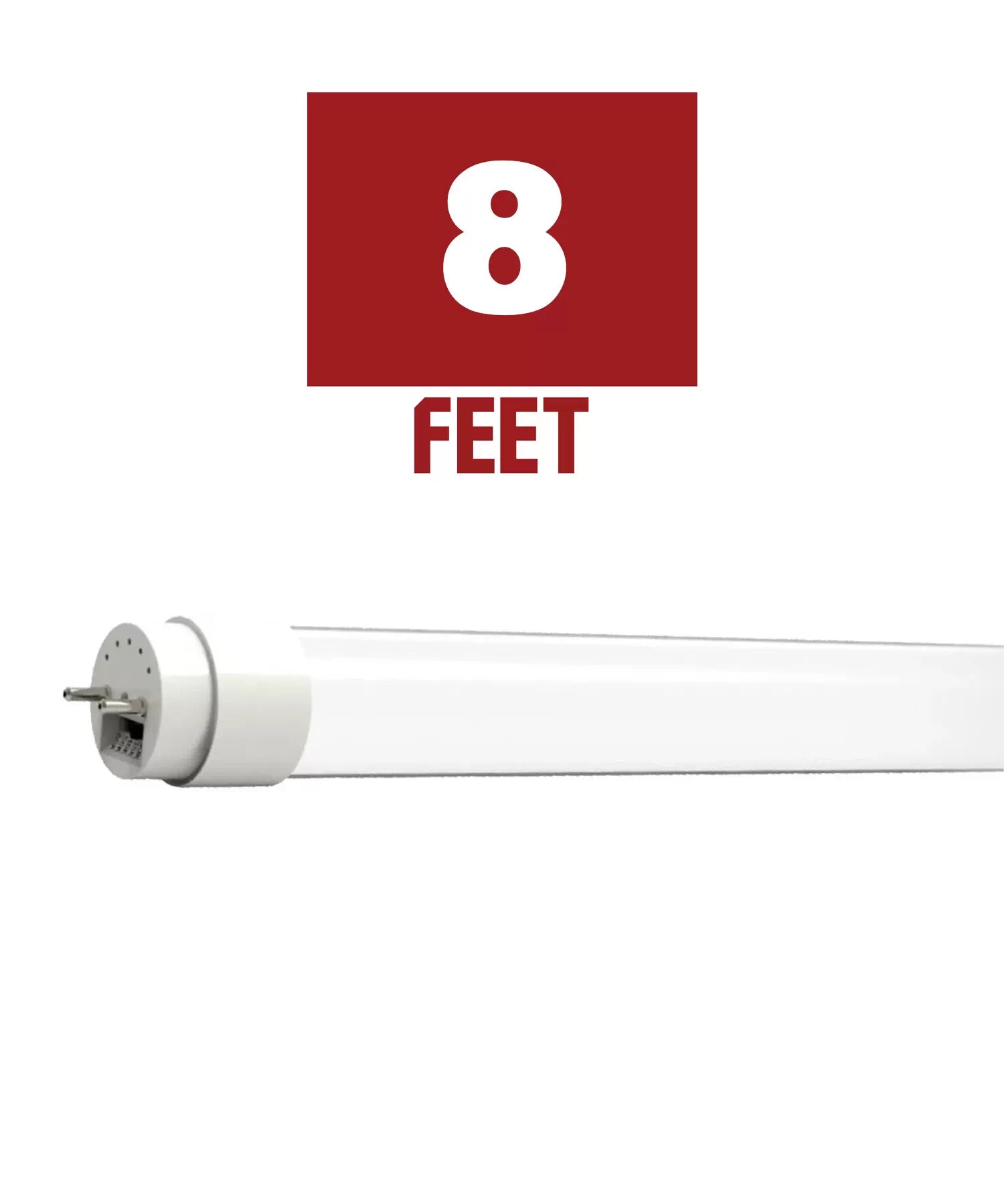 8ft T8 LED Bulbs - Bees Lighting