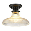 Clary 10 in. Semi flush Mount Light Matte Black Finish - Bees Lighting