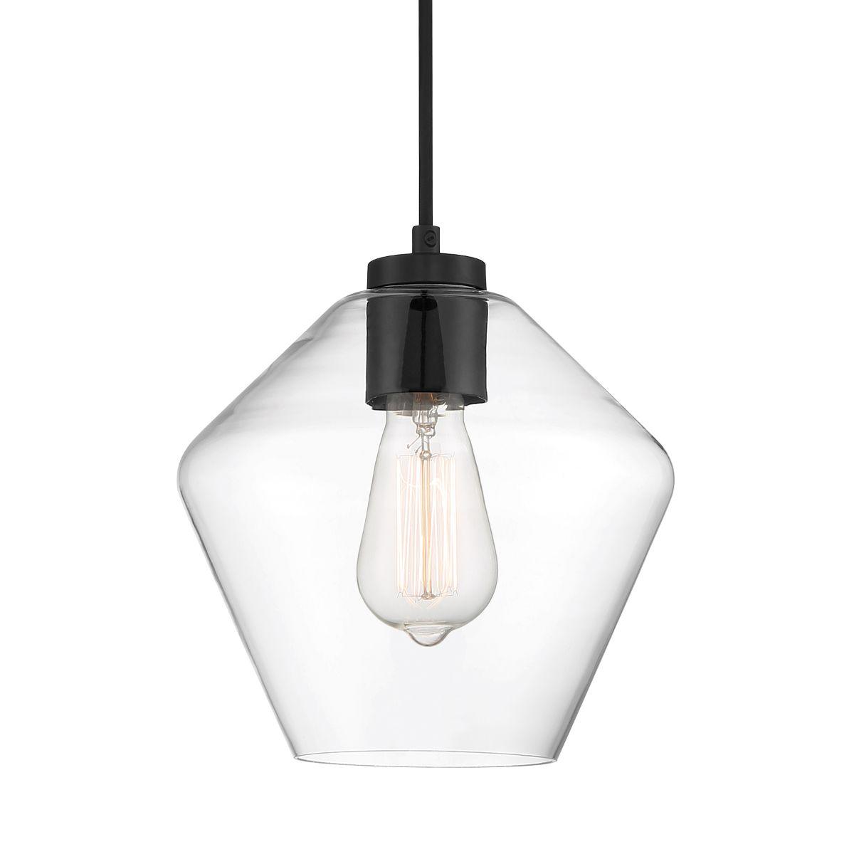 Clarity 9 in. Pendant Light Black Finish - Bees Lighting