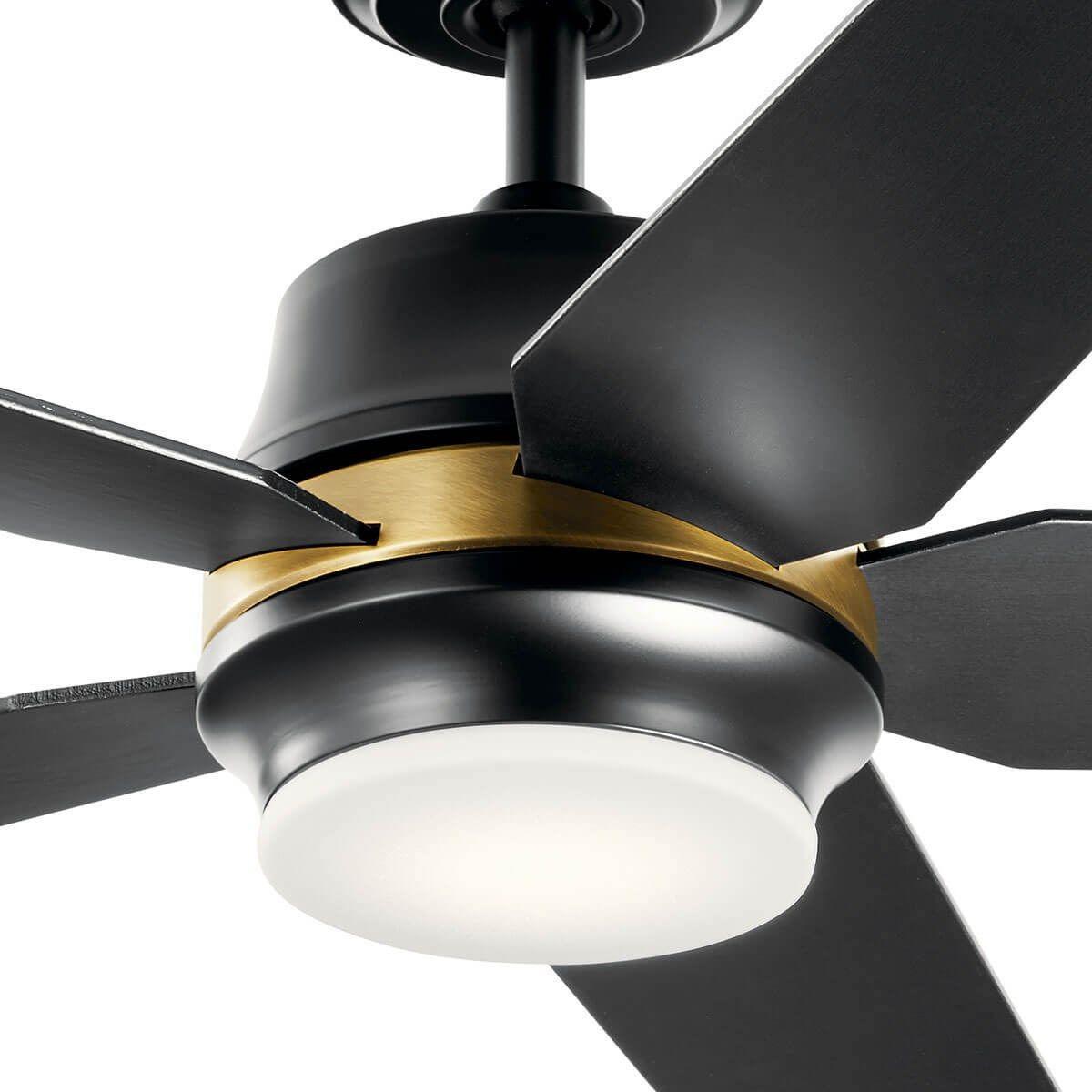 Maeve 52 Inch Satin Black LED Indoor Ceiling Fan with Remote - Bees Lighting