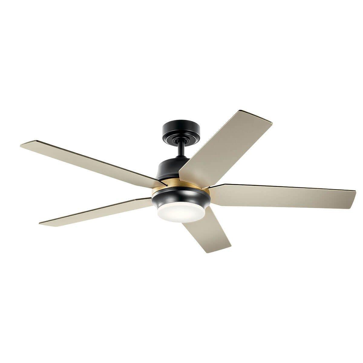 Maeve 52 Inch Satin Black LED Indoor Ceiling Fan with Remote - Bees Lighting