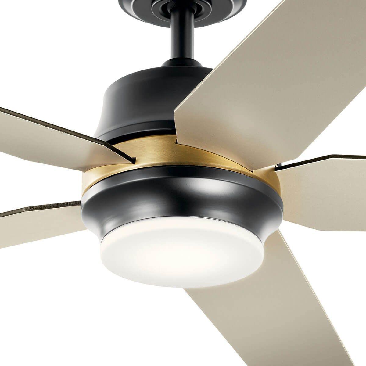 Maeve 52 Inch Satin Black LED Indoor Ceiling Fan with Remote - Bees Lighting