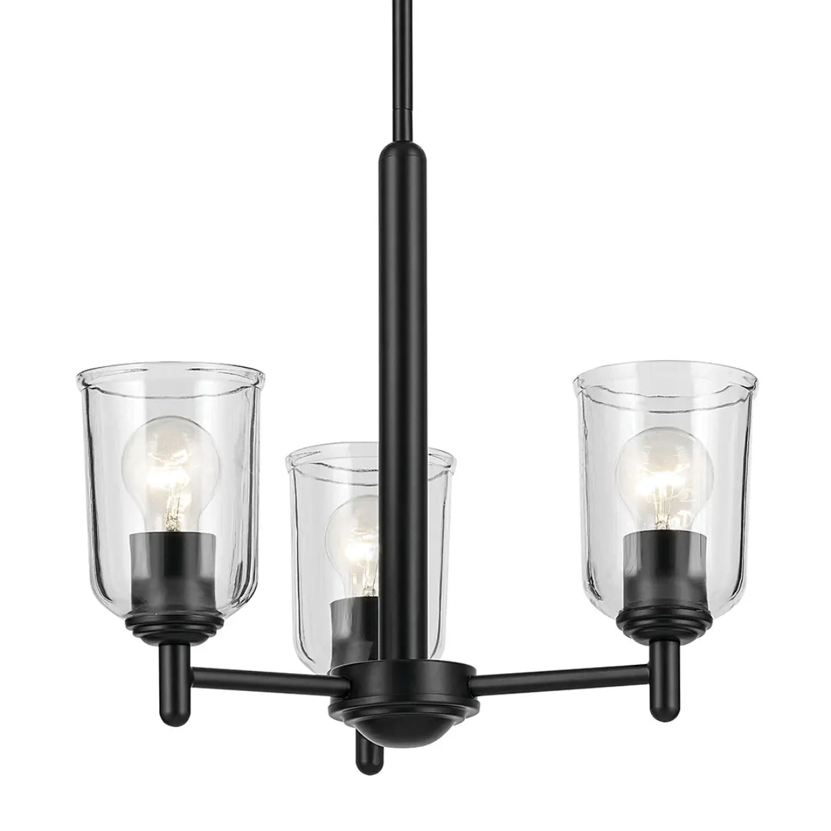 Shailene 18" 3-Light Mini Chandelier with Clear Glass, Black Finish - Bees Lighting