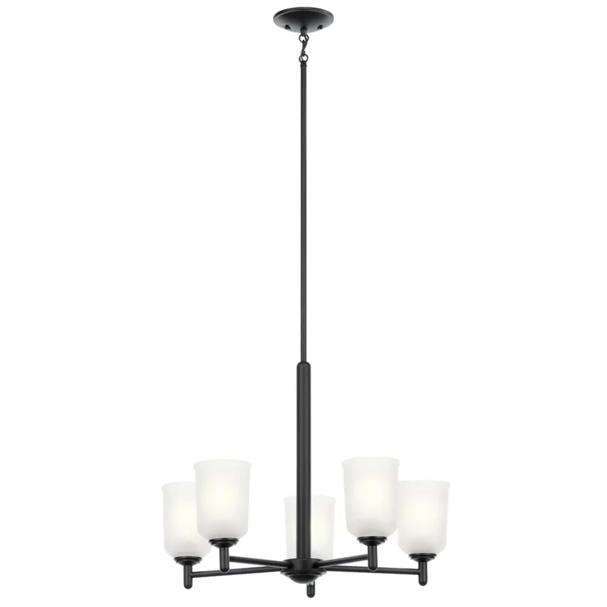 Shailene 24" 5-Light Chandelier with Clear Satin Etched Glass, Black Finish