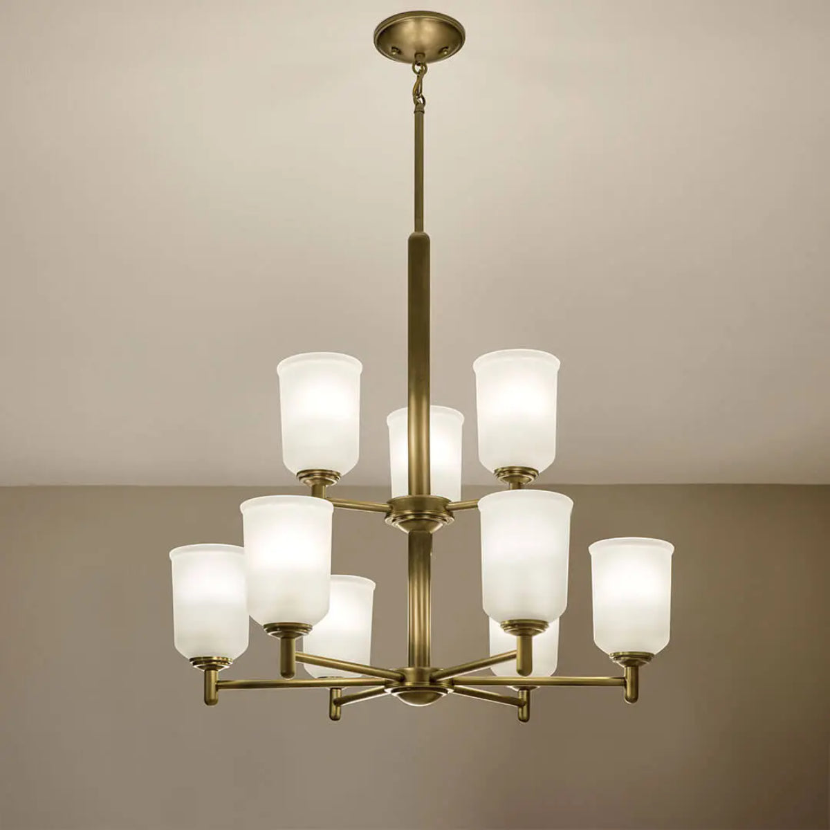 Shailene 27" 9-Light Chandelier with Clear Satin Etched Glass, Natural Brass Finish