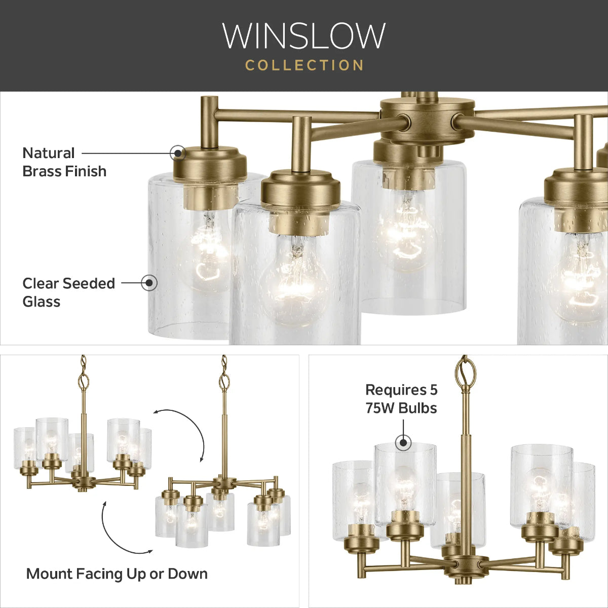 Winslow 20" 5-Light Chandelier, Natural Brass Finish - Bees Lighting