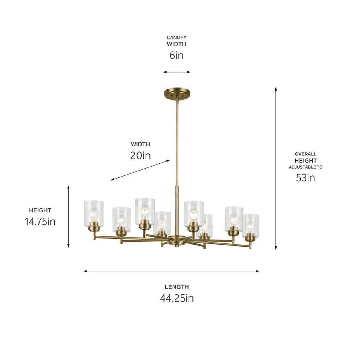 Winslow 45" 8-Light Chandelier, Natural Brass Finish - Bees Lighting