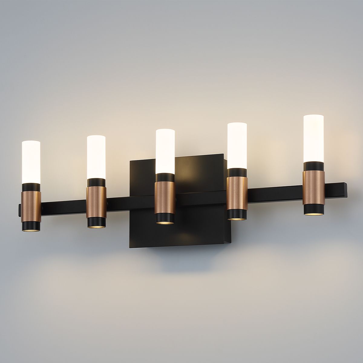 Albany 10 Lights 20 in. LED Vanity Light Black & Brass Finish - Bees Lighting