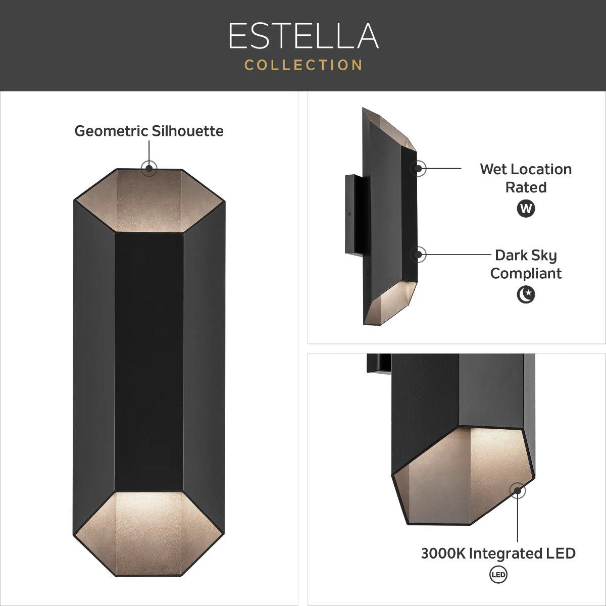 Estella 17 In 2-Lights LED Outdoor Wall Light Dark Sky Compliant, Black Finish - Bees Lighting