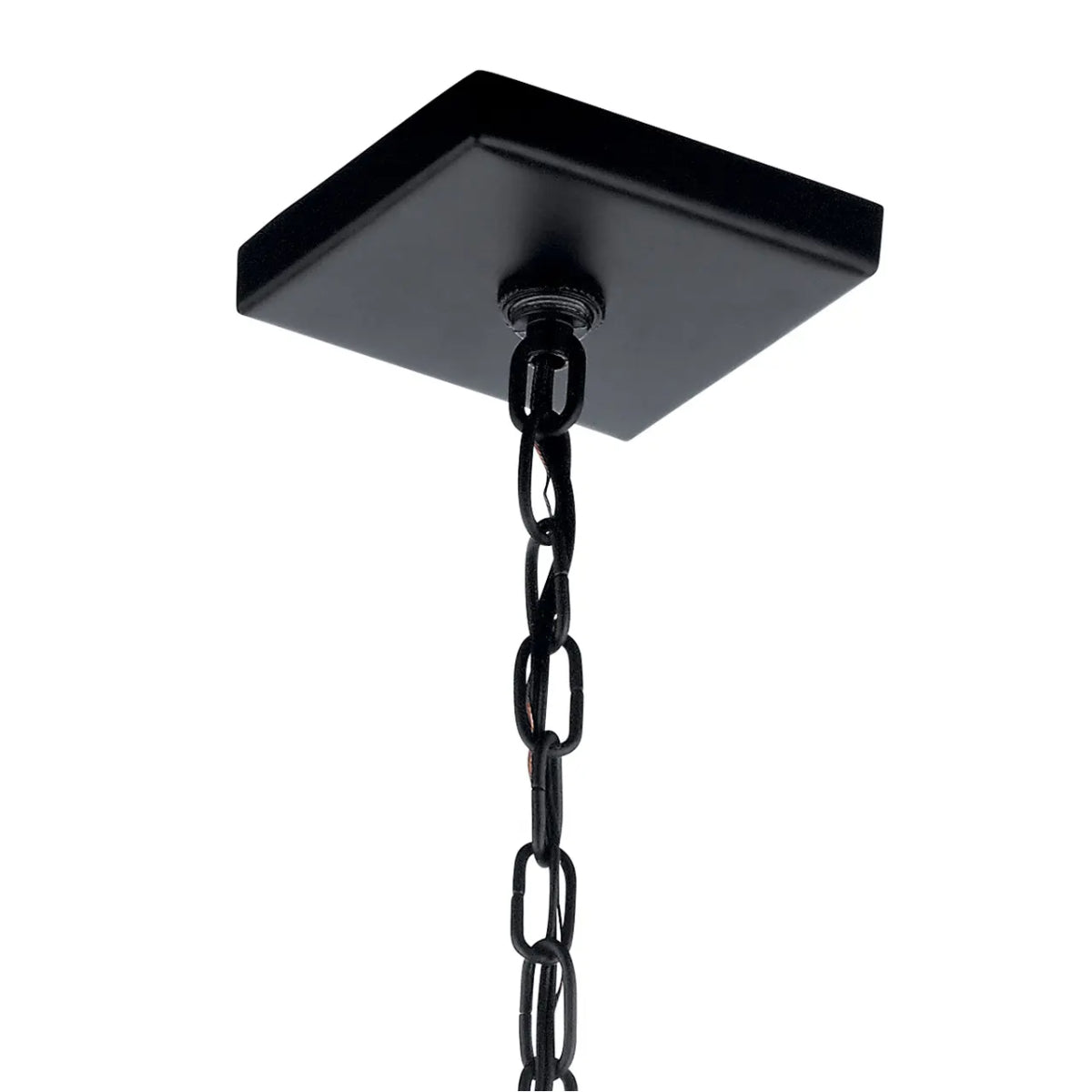 Vath 16" 1-Light Pendant Light, Black and Brass Finish - Bees Lighting