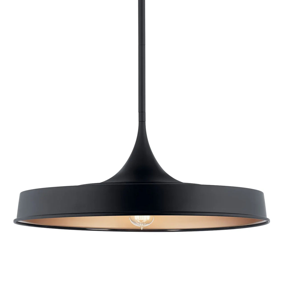 Elias 22" 1-Light Convertible Pendant Light with Metal Dome Shade, Black Finish - Bees Lighting