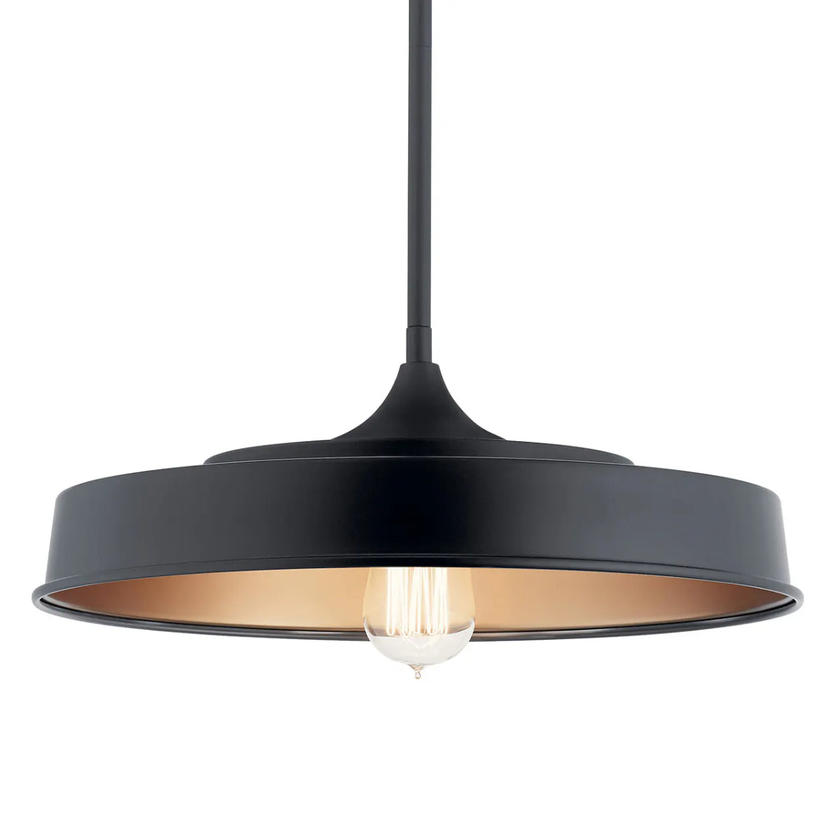 Elias 16" 1-Light Convertible Pendant Light with Metal Dome Shade, Black Finish - Bees Lighting