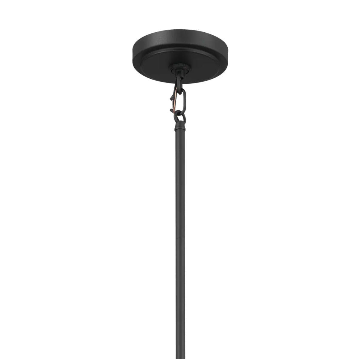 Vetivene 29" 6-Light Chandelier, Textured Black Finish - Bees Lighting