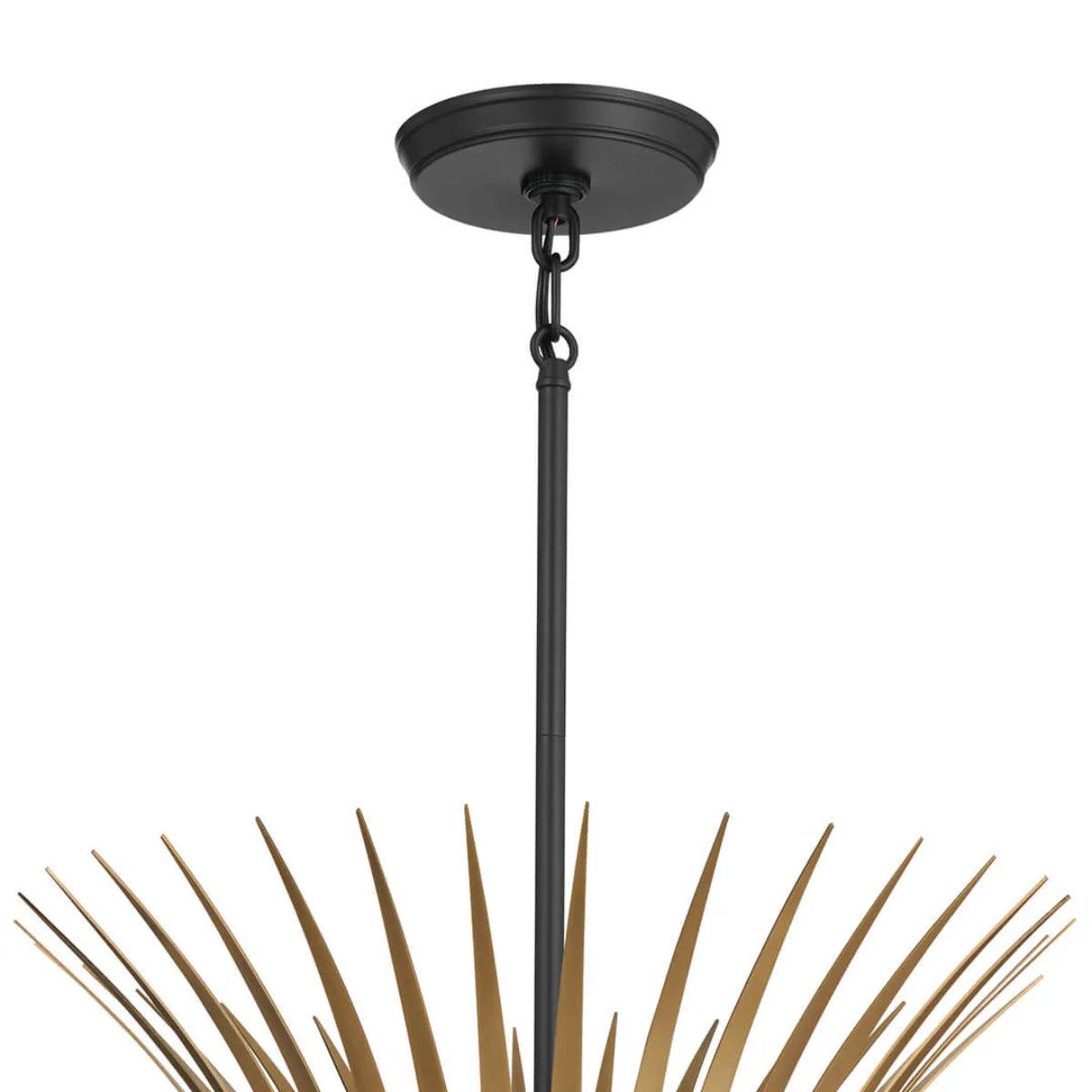 Baile 29" 6-Light Chandelier 1-Tier, Black Finish - Bees Lighting