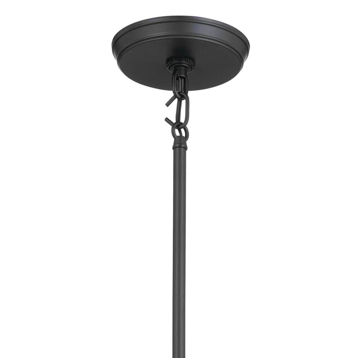 Baile 16" 1-Light Mini Pendant Light, Black Finish - Bees Lighting