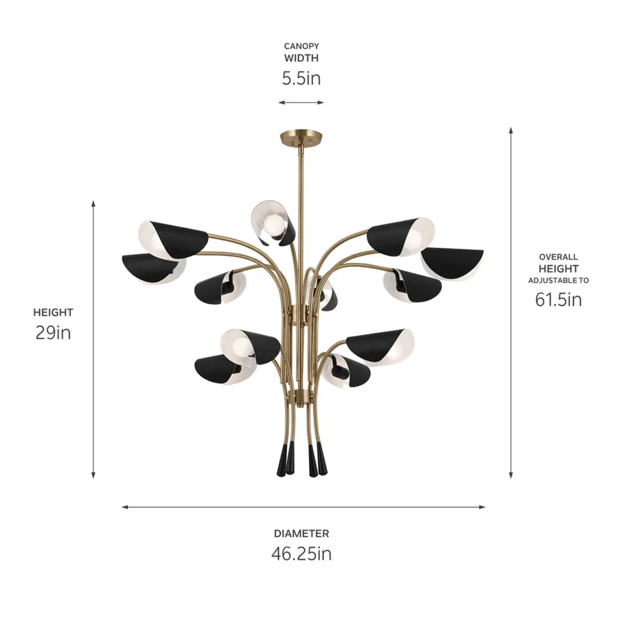 Arcus 46 in. 12 Lights Chandelier Champagne Bronze Finish with Black shade - Bees Lighting