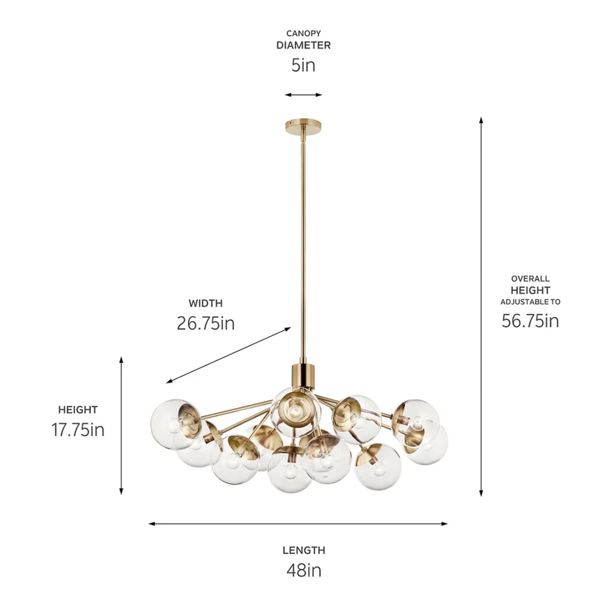 Silvarious 48" 12-Light Convertible Chandelier with Clear Glass, Champagne Bronze Finish - Bees Lighting