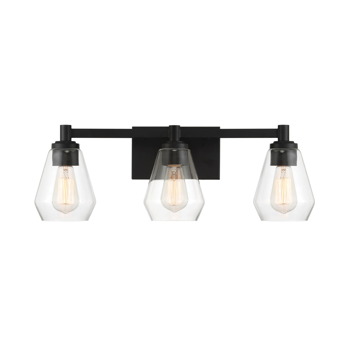 Clarity 24" 3 Lights Bathroom Vanity Light Black Finish