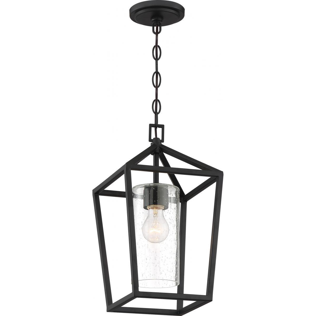 Hopewell 9 In. Outdoor Hanging Lantern Black finish - Bees Lighting