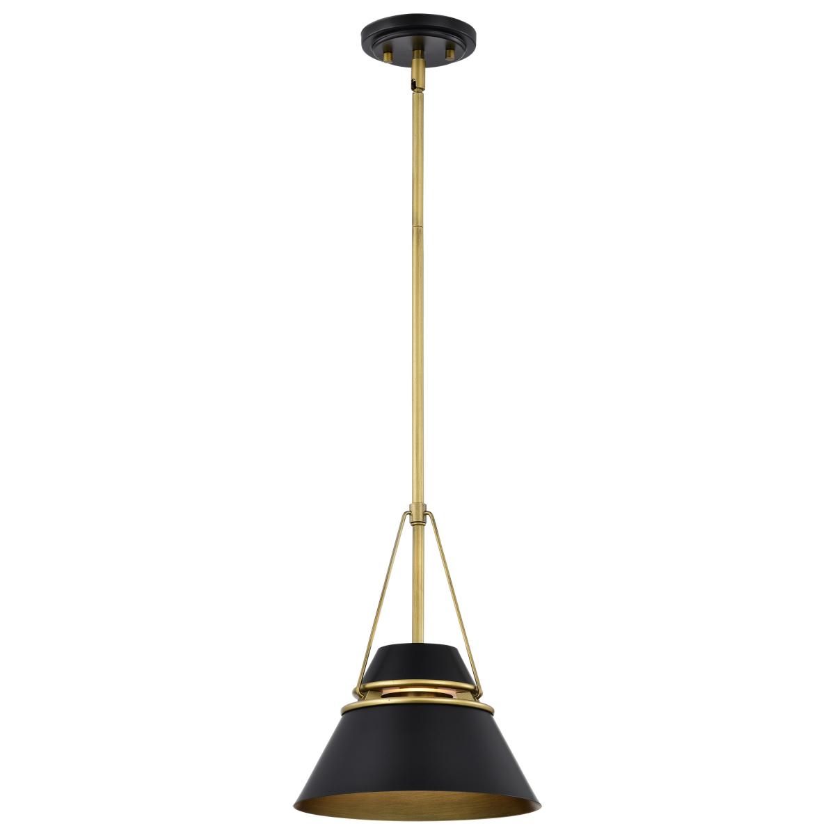 Adina 10 in. Pendant Light Matte Black and Natural Brass Finish