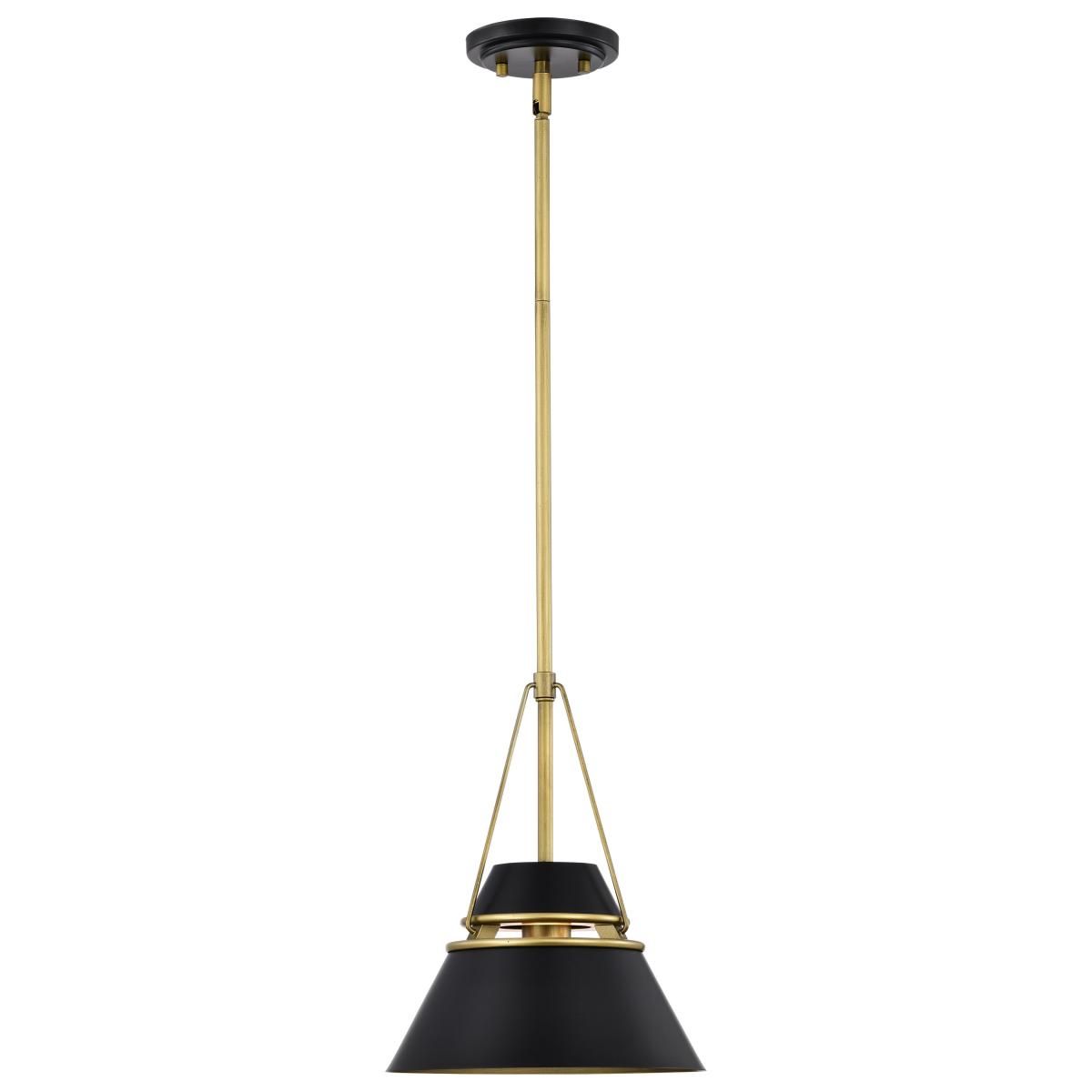 Adina 10 in. Pendant Light Matte Black and Natural Brass Finish