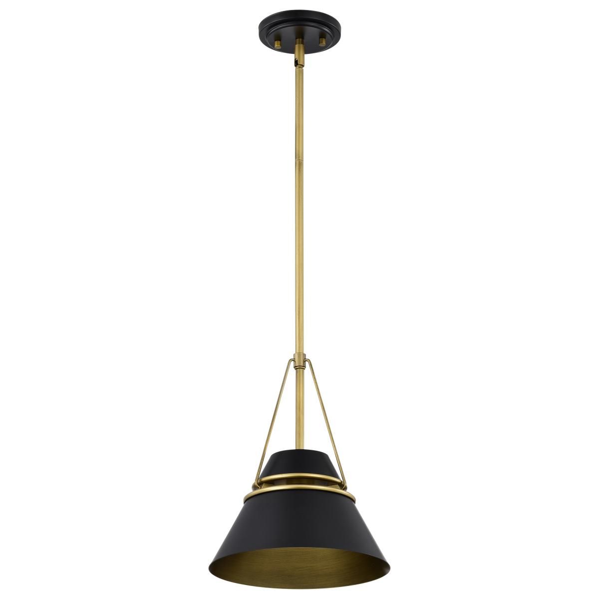 Adina 10 in. Pendant Light Matte Black and Natural Brass Finish