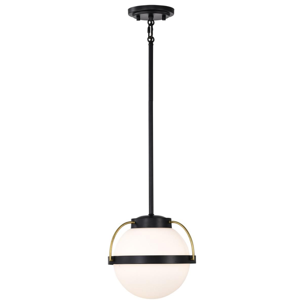 Lakeshore 10 in. Pendant Light Matte Black Finish