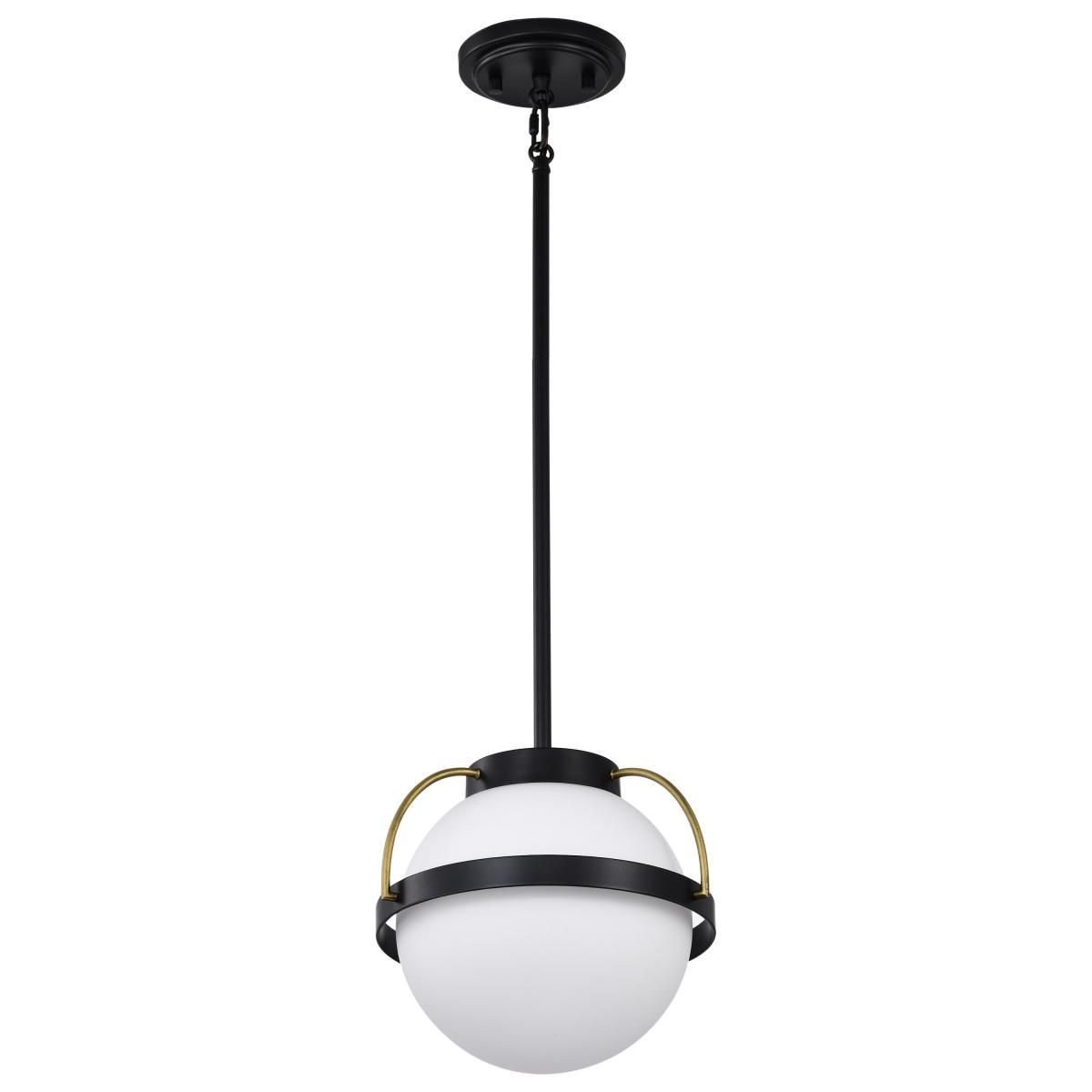 Lakeshore 10 in. Pendant Light Matte Black Finish