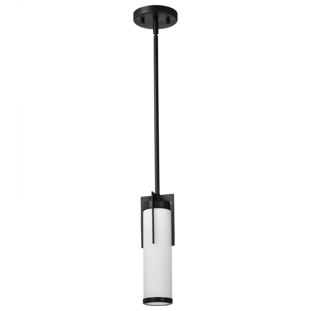 Nuvo Lighting 60-8053 Roselle 11" Pendant Light, Matte Black Finish