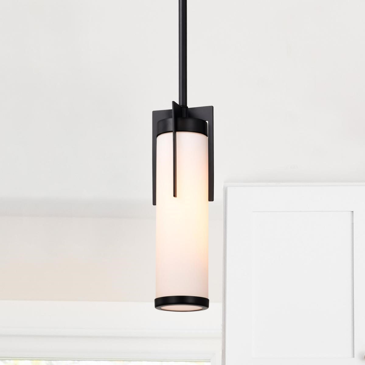 Nuvo Lighting 60-8053 Roselle 11" Pendant Light, Matte Black Finish