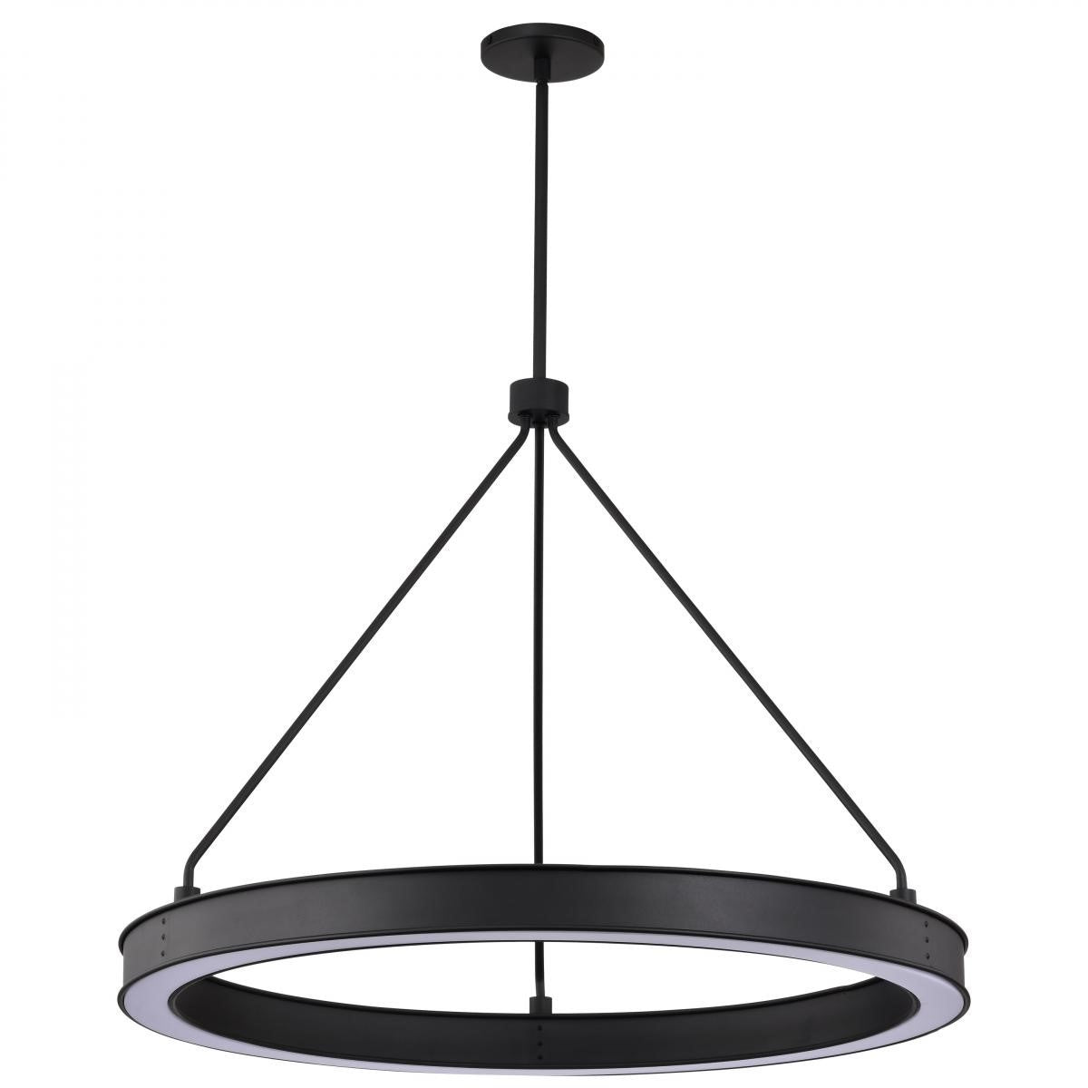 Longford 30" LED Pendant Light, Textured Black Finish - Bees Lighting