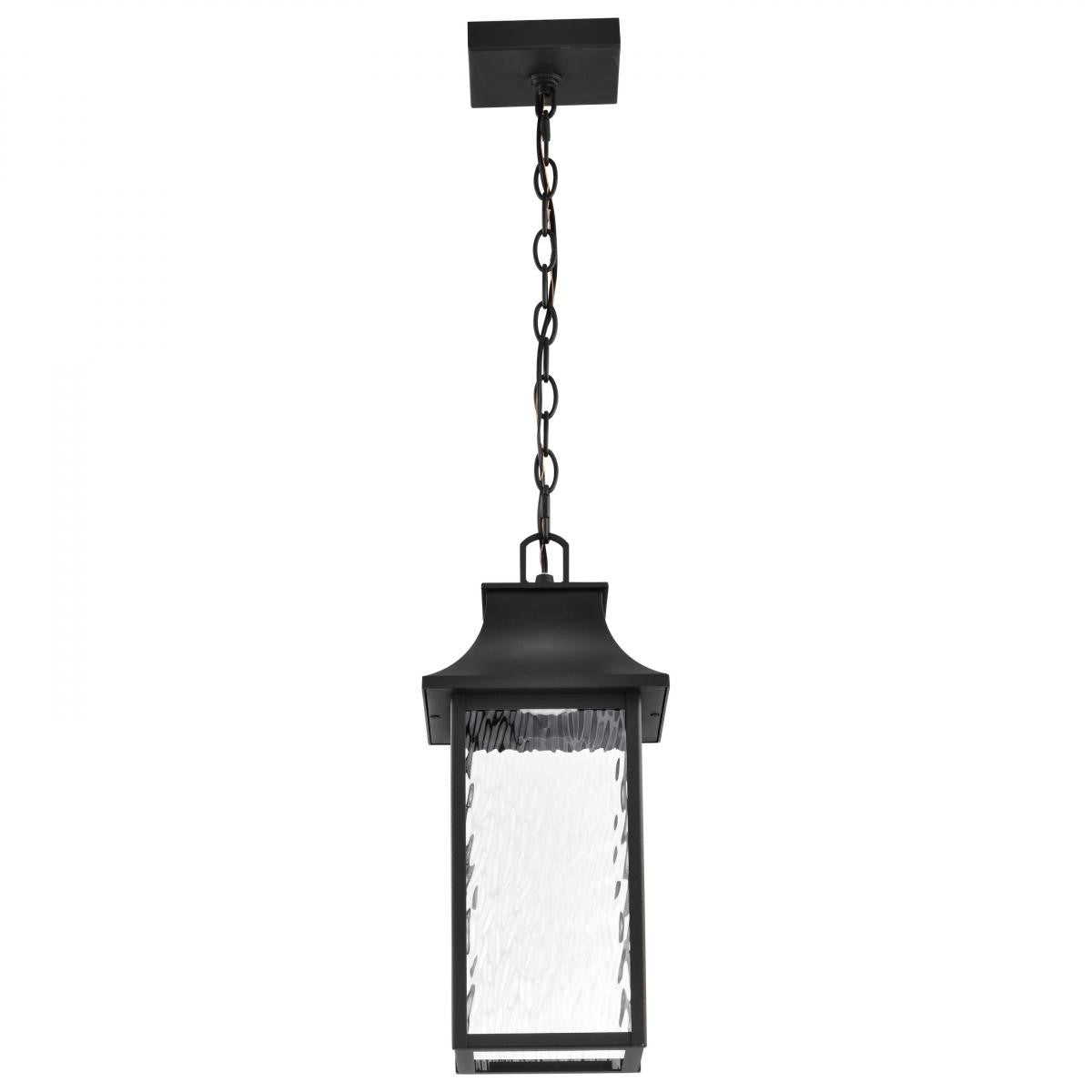 Austen Starfish 17" Smart LED Outdoor Hanging Light, RGBTW, Matte Black Finish