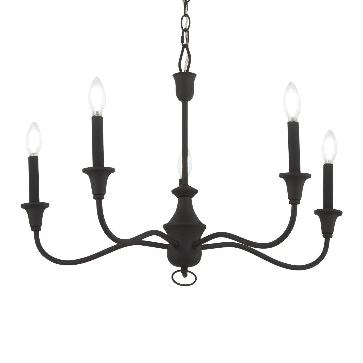 Halifax County 28 In. 5 Lights Chandelier Textured Black Finish - Bees Lighting