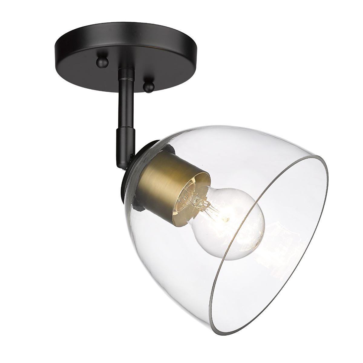 Roxie 10 in. Semi flush Mount Light Black & Brushed Champagne Bronze Finish