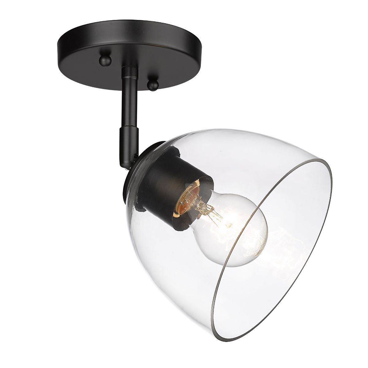 Roxie 10 in. Semi flush Mount Light Matte Black Finish