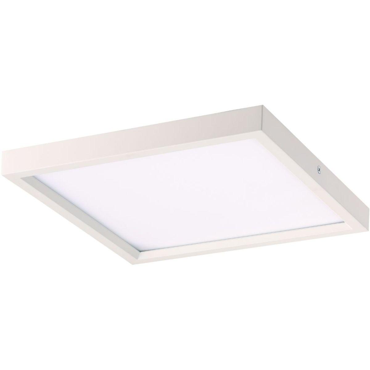 8 in. LED Flush Mount Disk Light White finish - Bees Lighting