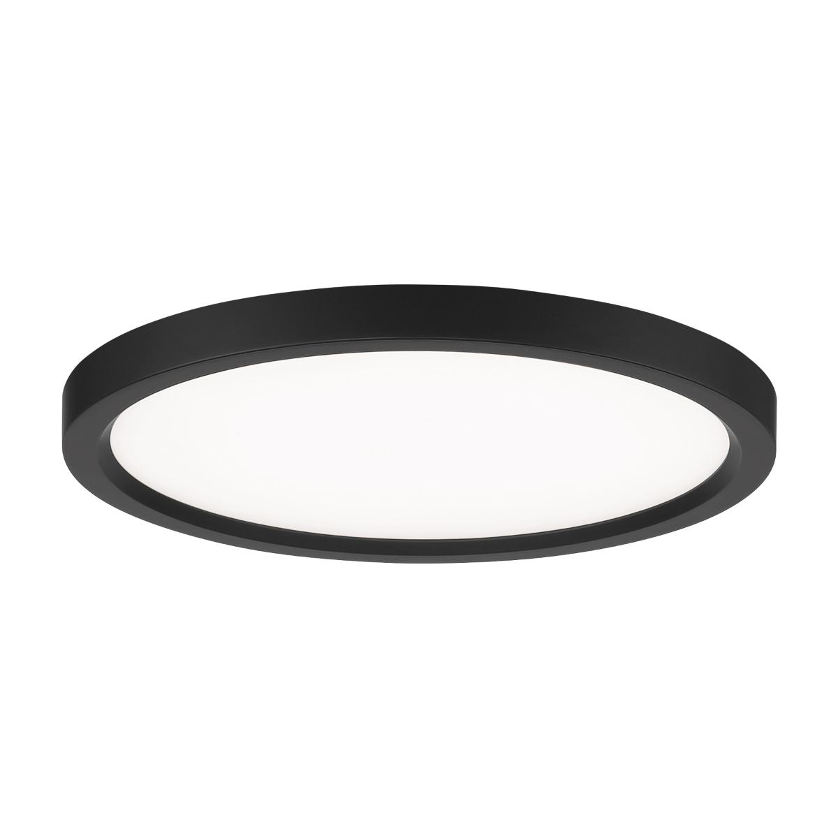 15 In. LED Disk Light Black Finish