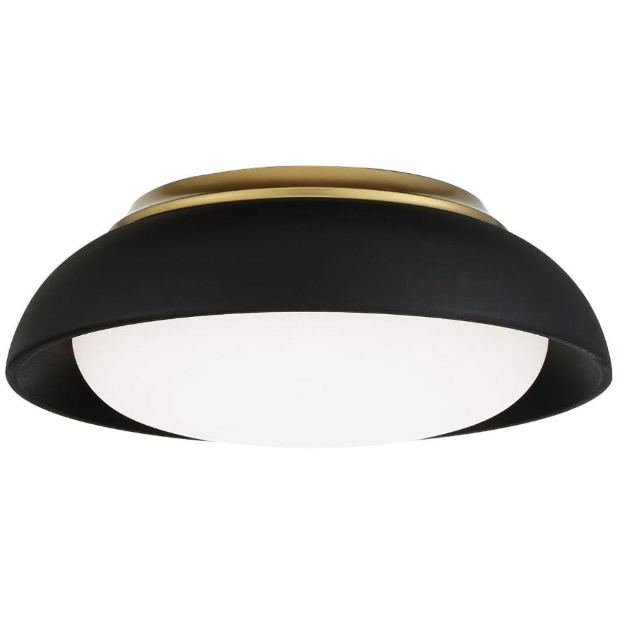 12 in. LED Flush Mount Light Black finish - Bees Lighting