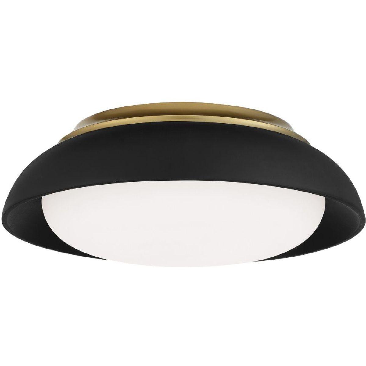 15 in. LED Flush Mount Light Black finish - Bees Lighting