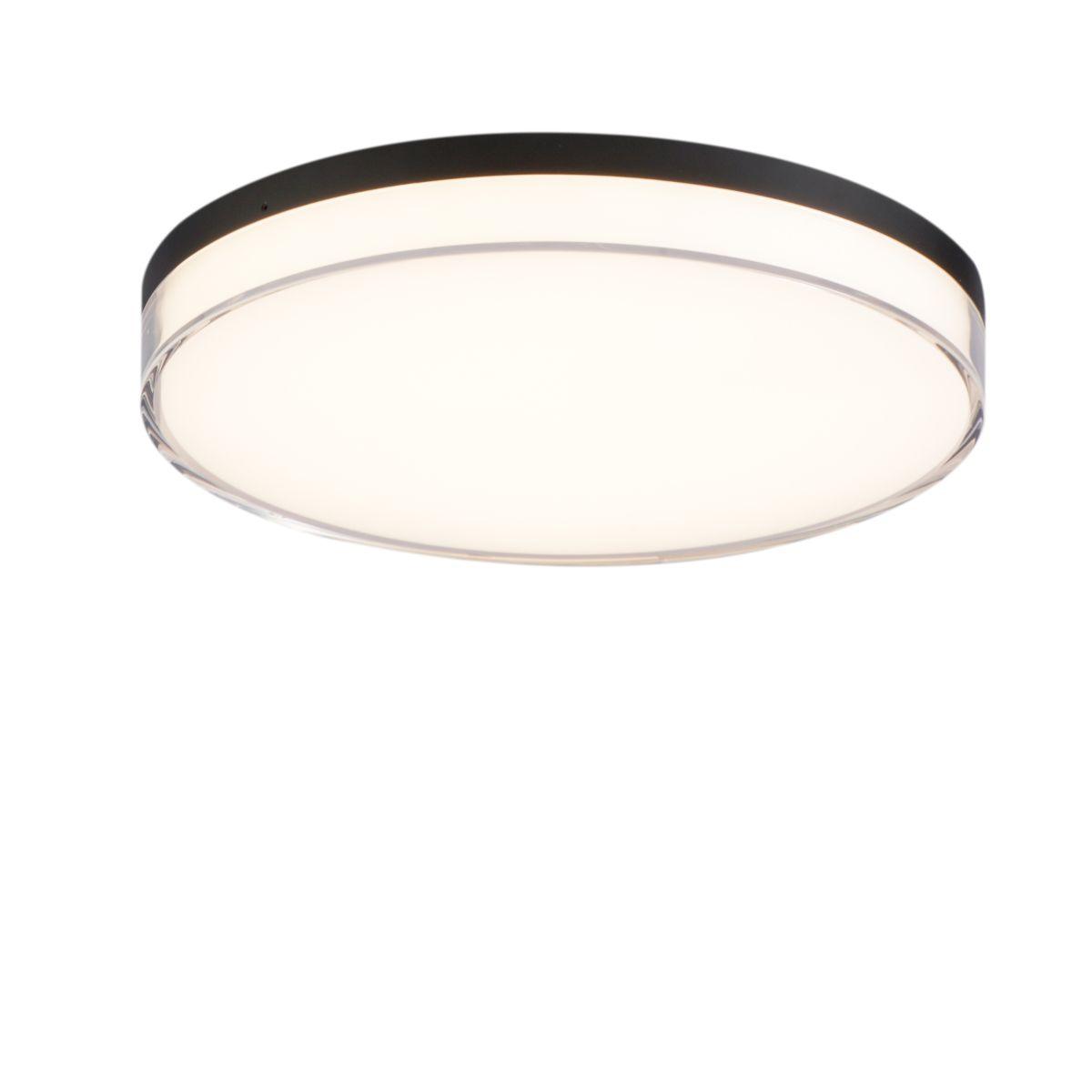 11 In. LED Flush Mount Light Black Finish - Bees Lighting