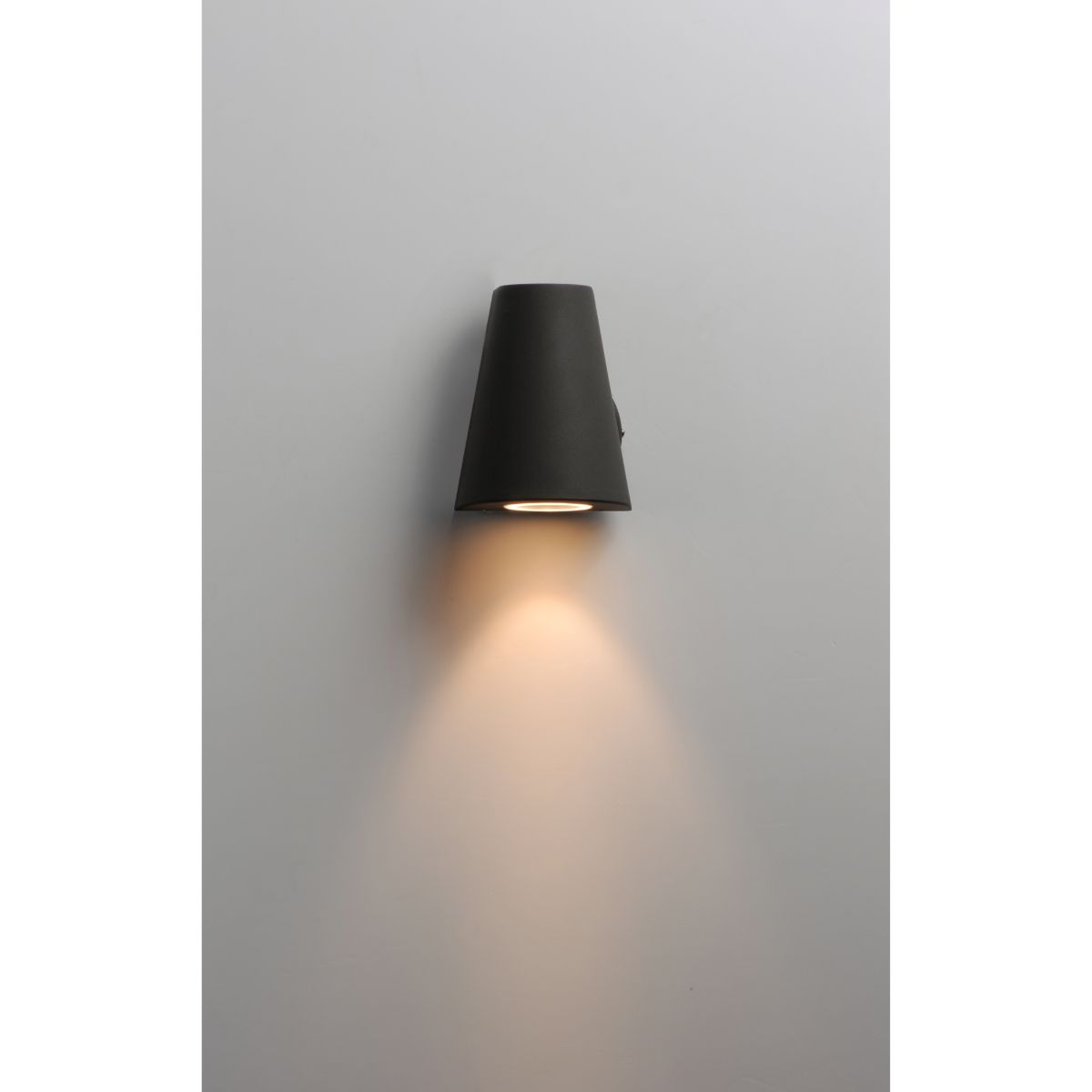 Mini 6 In. Outdoor Wall Sconce 450 Lumens Black Finish - Bees Lighting