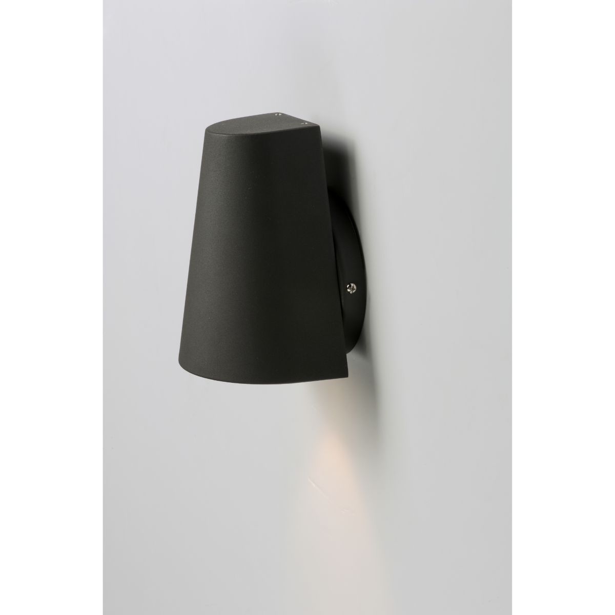 Mini 6 In. Outdoor Wall Sconce 450 Lumens Black Finish - Bees Lighting