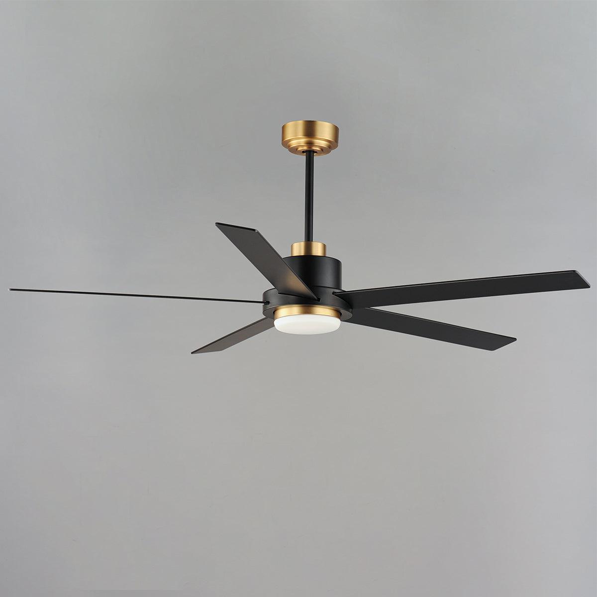 Daisy 60 Inch 5-Blade Ceiling Fan With Light and Wall Control, Black,Gold with Black Blades - Bees Lighting